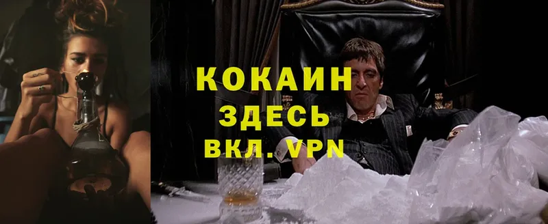 Cocaine Fish Scale  Лянтор 